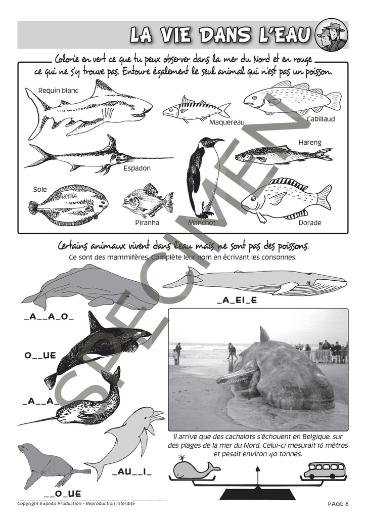 Classes_de_mer_2010-9.webp