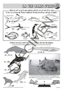 Classes_de_mer_2010-9.webp
