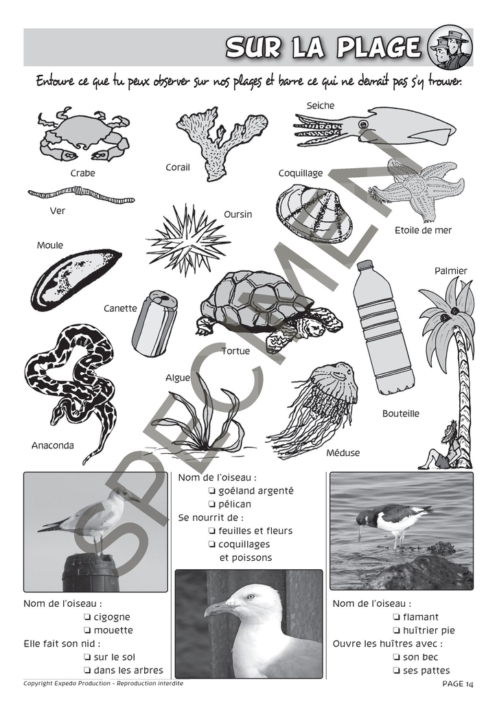 Classes_de_mer_2010-15.webp