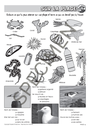 Classes_de_mer_2010-15.webp