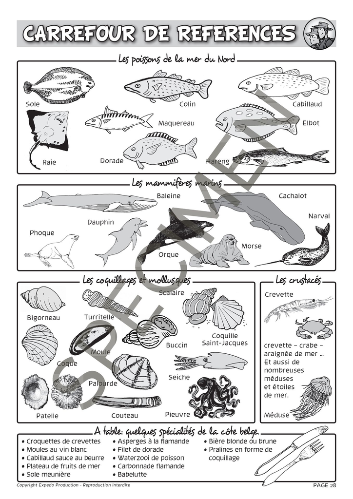 Classes_de_mer_2010-29.webp