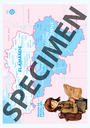 Cahier Belgique texte-6.webp