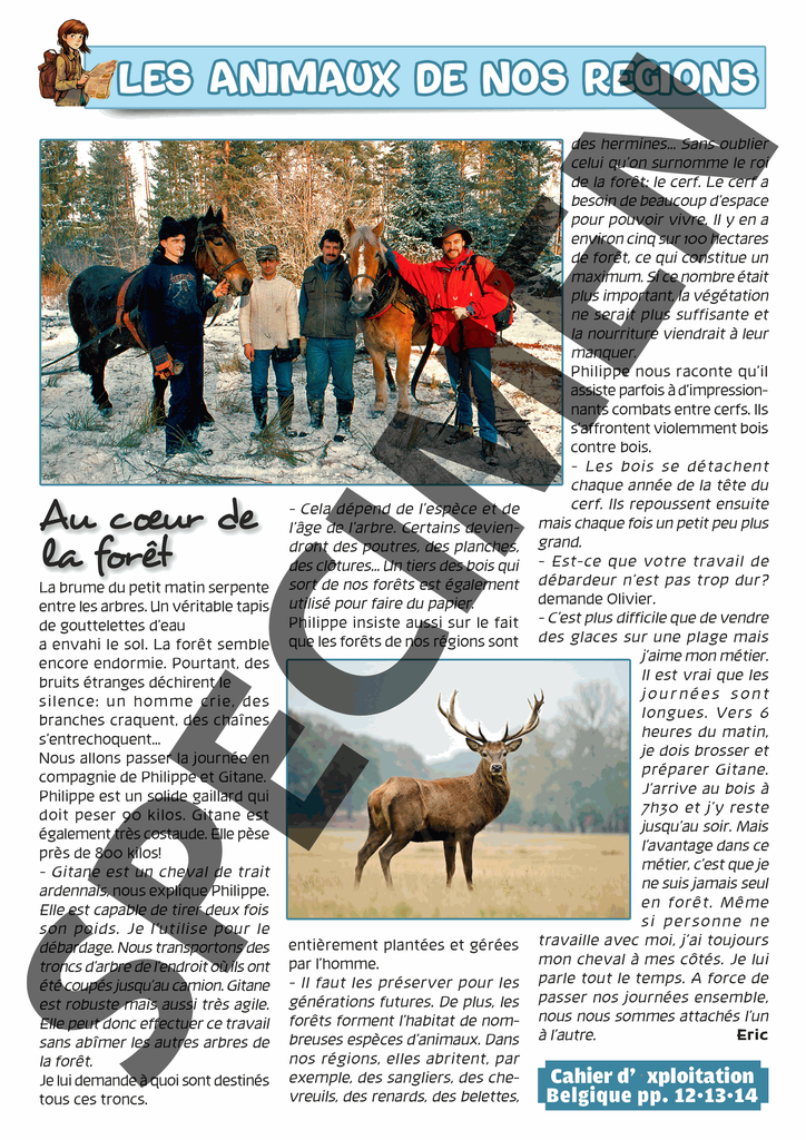 Cahier Belgique texte-12.webp