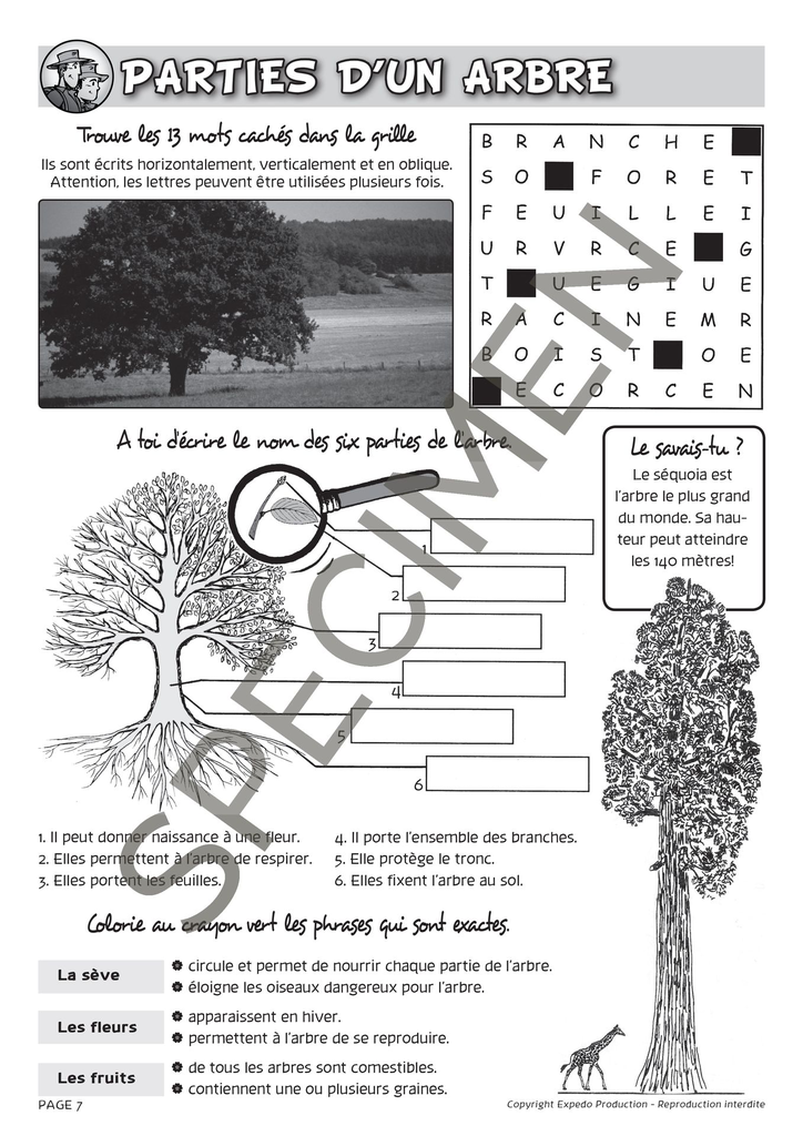 Classes_Vertes_2010-8.webp
