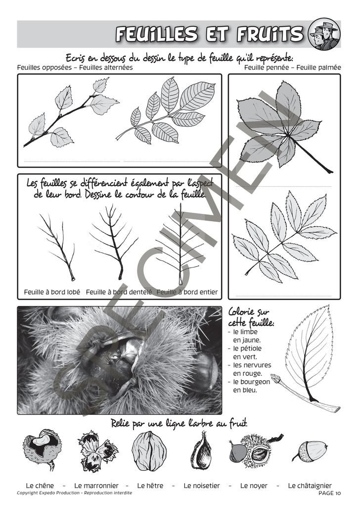 Classes_Vertes_2010-11.webp