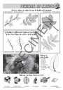 Classes_Vertes_2010-11.webp
