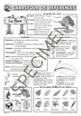 Classes_Vertes_2010-28.webp