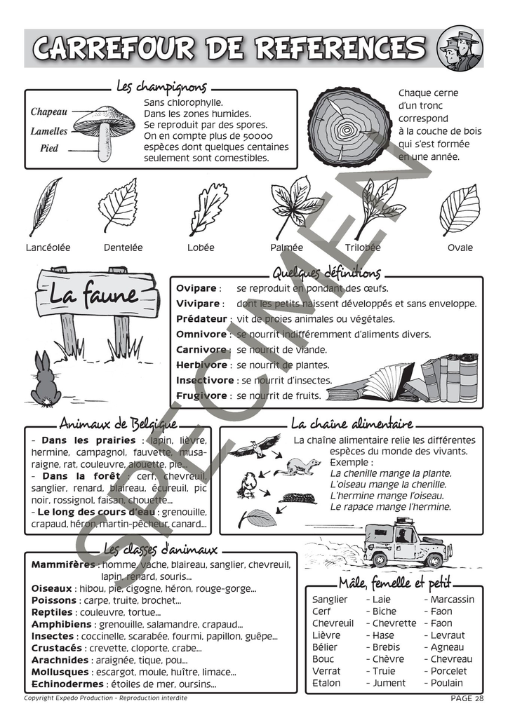 Classes_Vertes_2010-29.webp