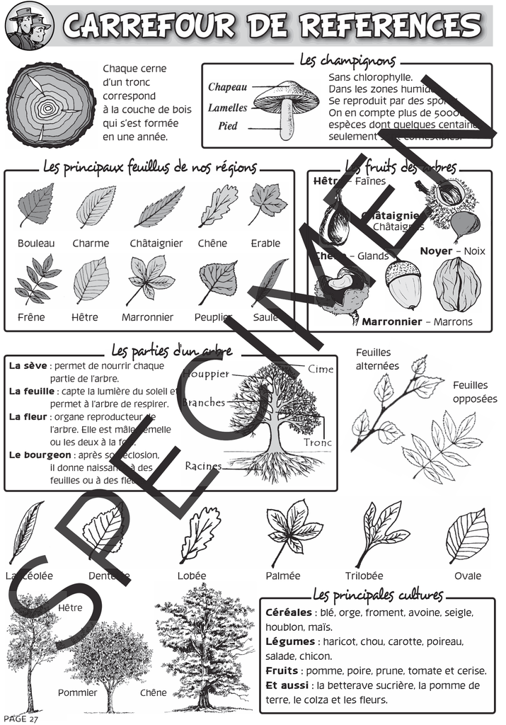 Cahier éveil exploitation 2012-28.webp