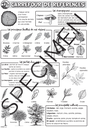Cahier éveil exploitation 2012-28.webp